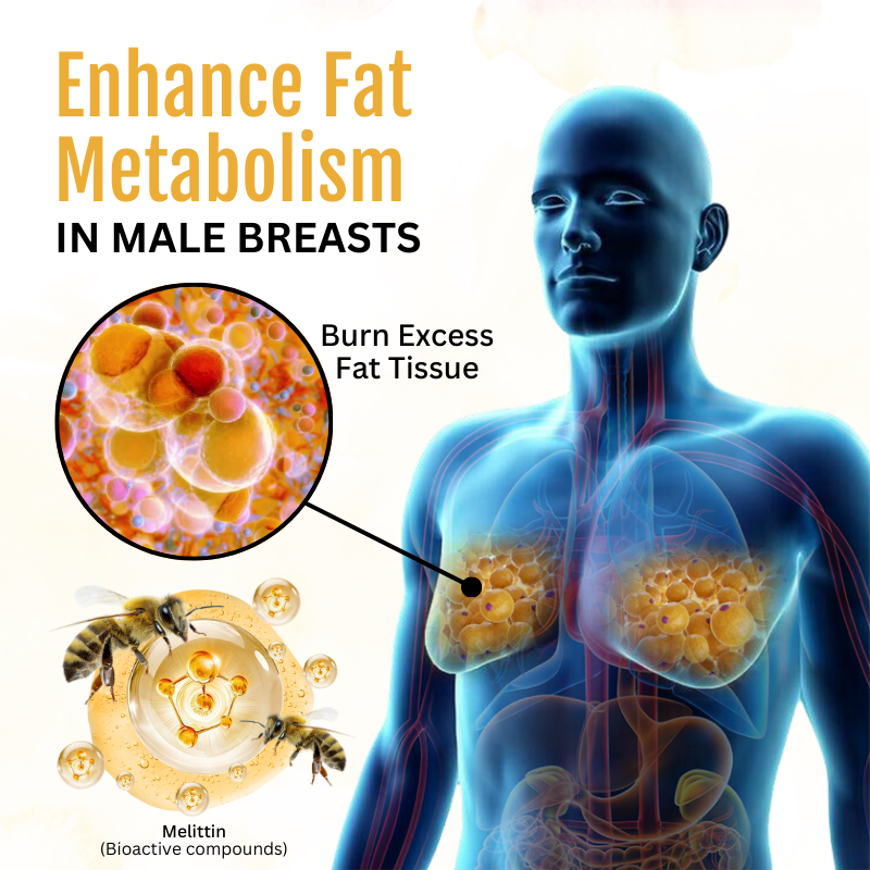 Dresfa™ ThermoFirm Bee Venom Gynecomastia Oil